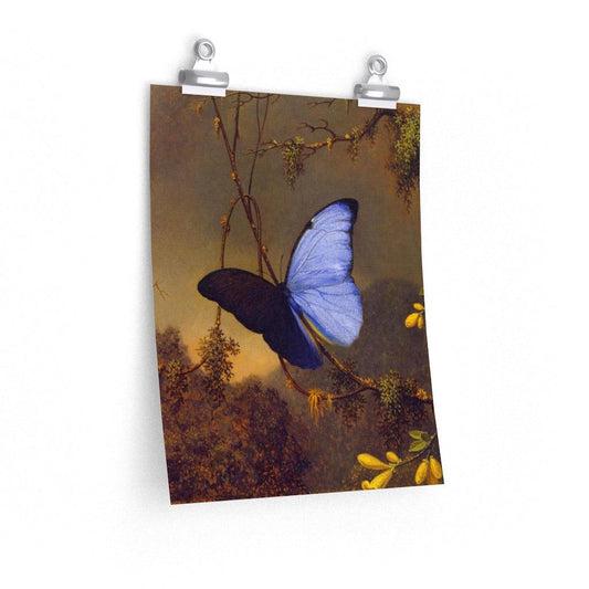 Martin Johnson Heade - Blue Morpho Butterfly 1865 Print Poster - Art Unlimited