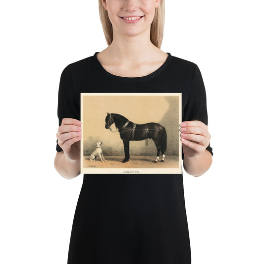 Horse And Dog Orlov Trotter By Emil Volkers Print Poster