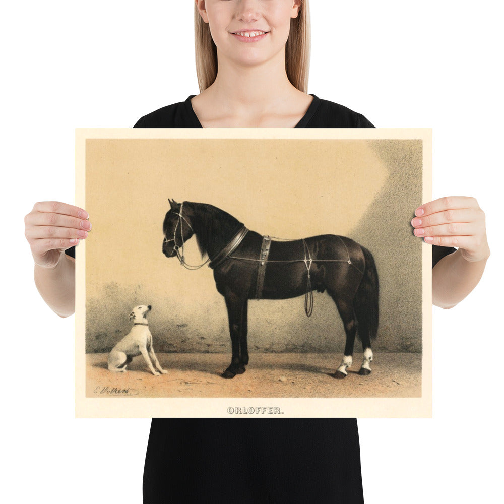 Horse And Dog Orlov Trotter By Emil Volkers Print Poster