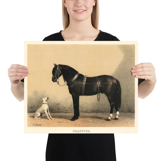 Horse And Dog Orlov Trotter By Emil Volkers Print Poster